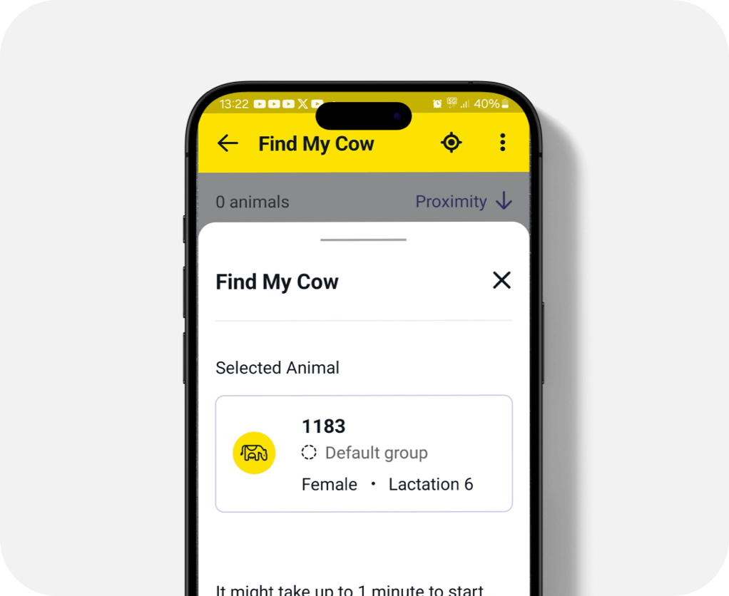 Find my cow