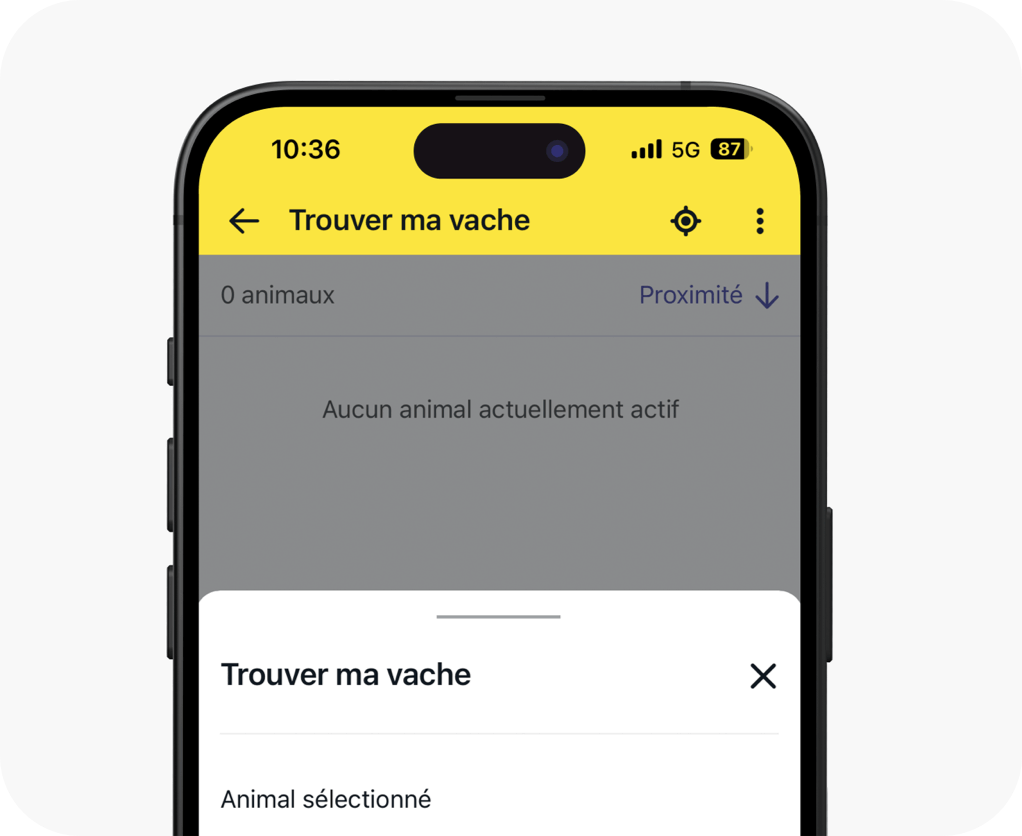 Trouver ma vache