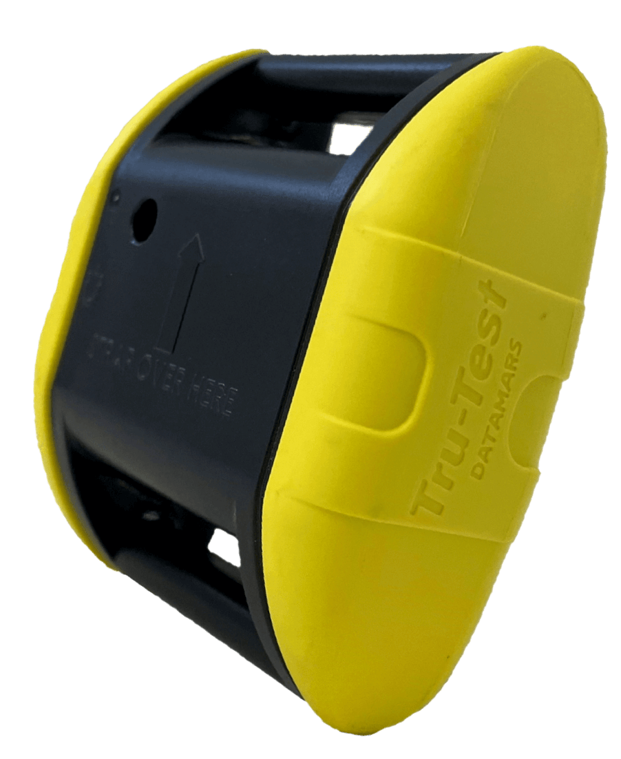 Datamars Active Tag device
