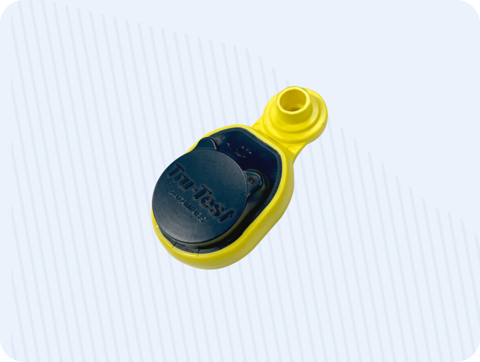 Ear Tag